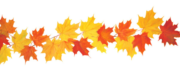 PNG Autumn leave backgrounds leaves maple.