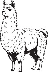 Elegant Llama Illustration in Black and White Standing Profile View with Detailed Fur