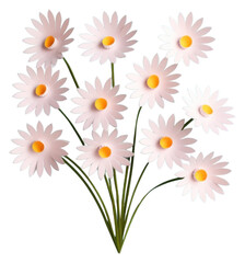 Obraz premium PNG Daisy flower white petal.