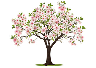 Obraz premium Tree with pink flowers on transparent background