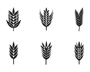 Collection of stylized wheat and grain icons representing agriculture and harvest in a clean minimalist design for branding