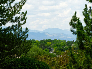 Green Trees, Blue Skies, and White Clouds!