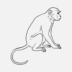 Obraz premium Monkey Silhouette Vintage Retro Black Icon Line Art Graphic Animal Monkey Artwork