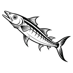 Detailed outline illustration of a barracuda fish presented as a clean graphic element isolated on white background