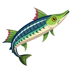 Detailed illustration of a barracuda fish captured in a dynamic pose presented as a clean vector graphic isolated on white background