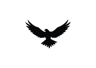 eagle in flight