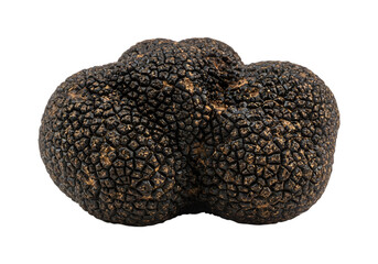 Truffle mushrooms on transparent background