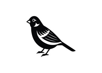 bird on a branch