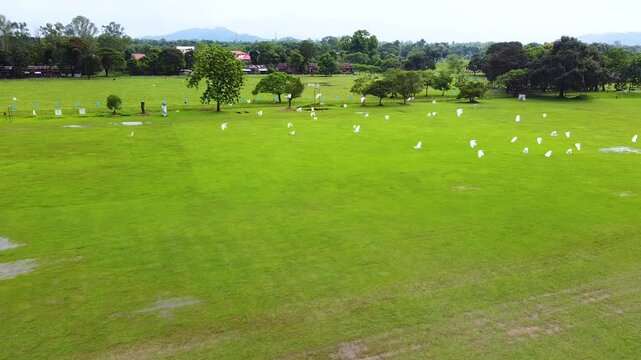 4K Aerial View  with Flying Birds and Distant Hills