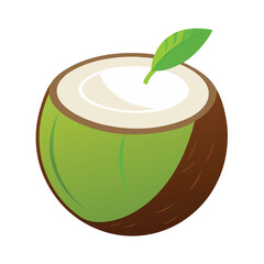 A vibrant detailed illustration of a whole coconut and its split halves artistically rendered and isolated on white background