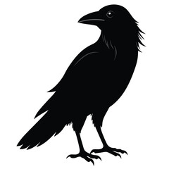 Striking silhouette of a crow in flight a powerful avian symbol isolated on white background for graphic design projects