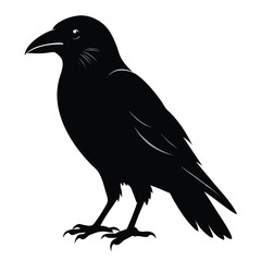 Fototapeta premium A striking black crow silhouette a solitary bird with detailed feathering presented isolated on white background