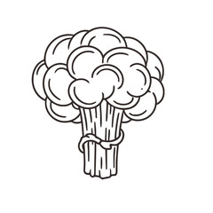 Fresh broccoli bouquet for healthy eating and culinary inspiration