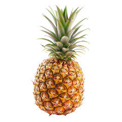 Ripe Pineapple against Black