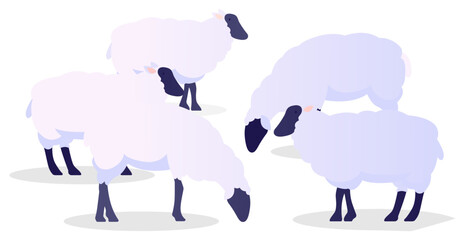 flock of sheep vector illustration