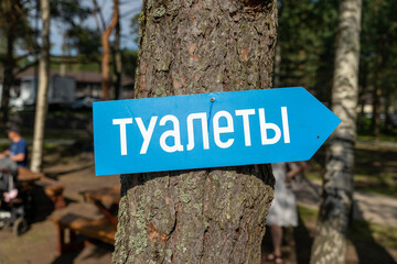 Blue toilet sign pointing direction on a tree in a park