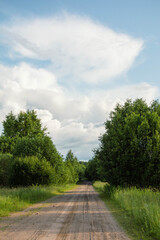 Sandy road leading into lush green forest under cloudy sky
