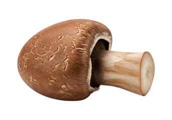 Portobello mushrooms on transparent background
