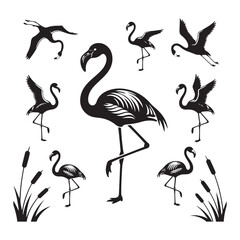 Obraz premium Silhouette illustration of flamingos in various poses and cattails