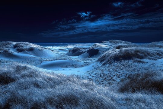 Serene coastal dunes bathed in the cool blue light of a moonlit night.