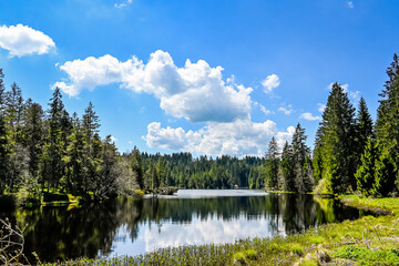 étang de la gruère, la gruère, See, Moorsee, Moor, Weiher, Hochmoor, Wanderweg, Spiegelung, Wasserpflanzen, Wald, Waldweg, Torfmoos, Jura, Naturschutz, Frühling, Sommer, Schweiz