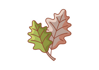 Fototapeta premium Oak leaf vector illustration 