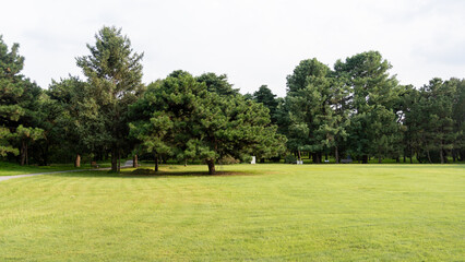 golf course in the morning