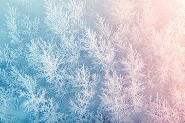 Frost-covered branches create a serene winter wonderland scene, showcasing delicate icy textures and pastel hues.