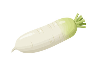 A Daikon radish lies diagonally on a white background