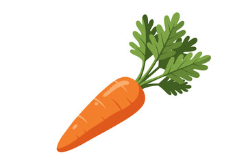 An orange carrot with green leaves protruding from the top