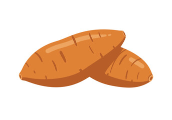 Two orange sweet potatoes one slightly behind the other on a plain white background