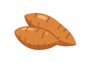 Two orange sweet potatoes lie sidebyside on a plain white backdrop