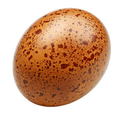 Unique spotted egg resting on a plain background highlights natural beauty and texture in early morning light