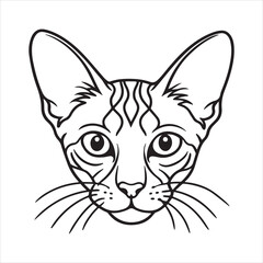 Ocicat: Exotic Beauty, Devoted, Agile Companion