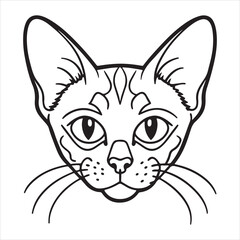 Pixiebob Cat: Mysterious, Devoted, Rustic Beauty