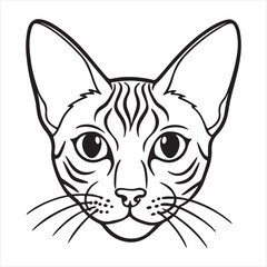 Singapura Cat: Sweet, Curious, Devoted Little Jewel