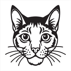 Snowshoe Cat: Expressive, Affectionate, Striking Beauty