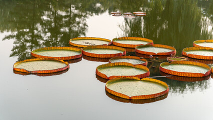 canoe on the water
