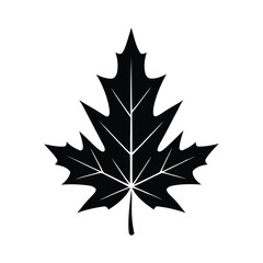 Fototapeta premium Black maple leaf silhouette isolated on white background