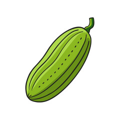 Creative Vector Style Bitter Melon Fruit on White Background