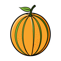 Creative Vector Style Musk Melon Fruit on White Background