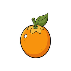 Creative Vector Style Loquat on White Background