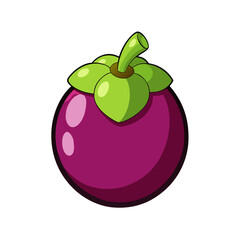 Creative Vector Style Mangosteen Fruit on White Background
