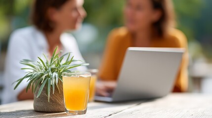 Two women are working remotely on a laptop at a wooden table with a glass of juice and a potted plant, enjoying the work and travel lifestyle as digital nomads