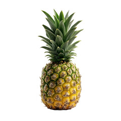 Fototapeta premium A whole ripe pineapple with green spiky leaves on its crown isolated on transparent background