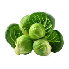 Obraz premium Vegetable PNG Image Without Background Green Brussels