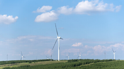 wind turbine in the field