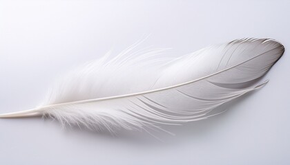 Obraz premium white feather resting on white surface on a white or clear surface white background