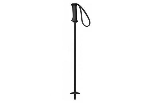 Black ski pole with attached wrist strap, positioned vertically against clean white background, showcasing sleek sporting equipment design