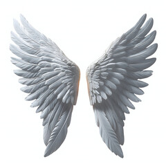 Obraz premium white wings isolated on white